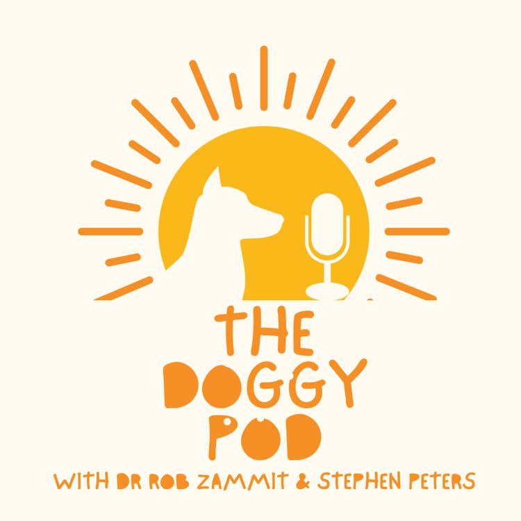 cover art for Why we 'humanise' our dogs