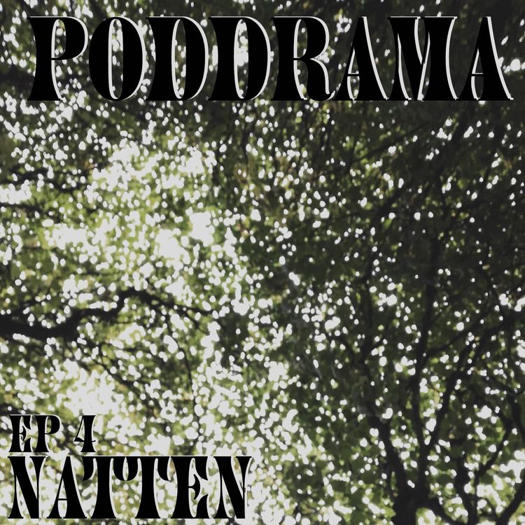 cover art for natten