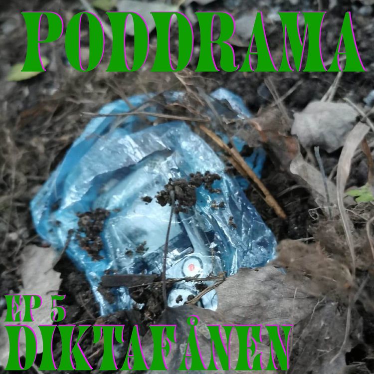 cover art for diktafånen