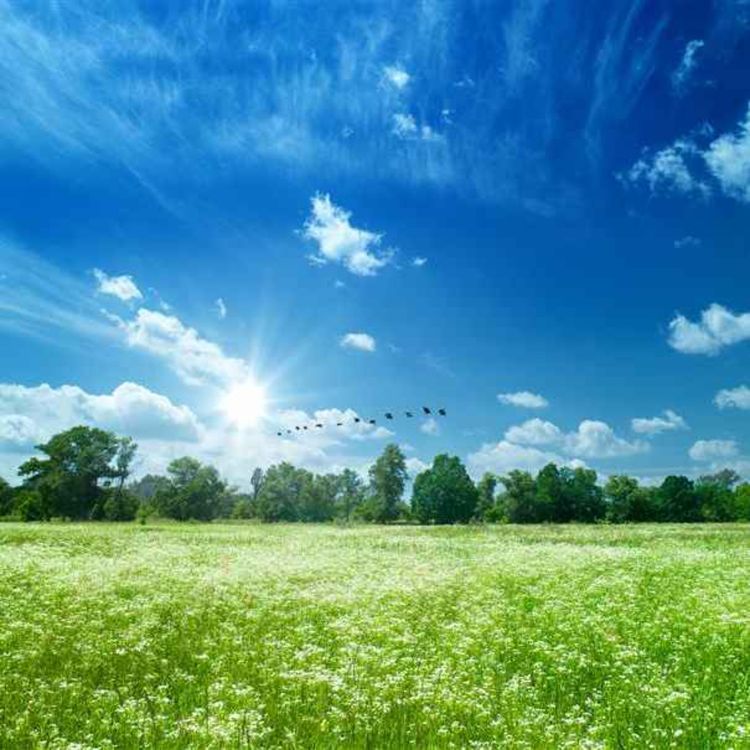 cover art for Horká kaše speciál: Jak se měří kvalita ovzduší