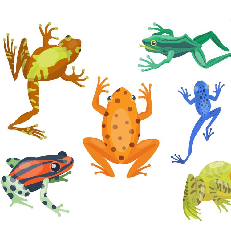 cover art for Episode 13: Facebook, Oxfam and “Digital Leapfrogging”