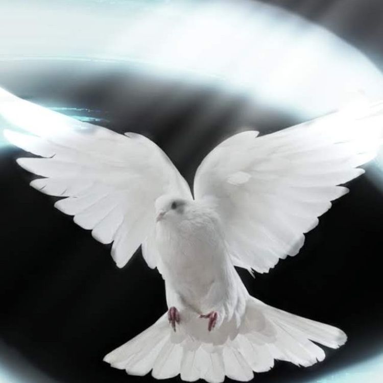 cover art for "The watcher" Episode 1 runs parallel to "Chronicles of the Fallen book 1 The great divide.