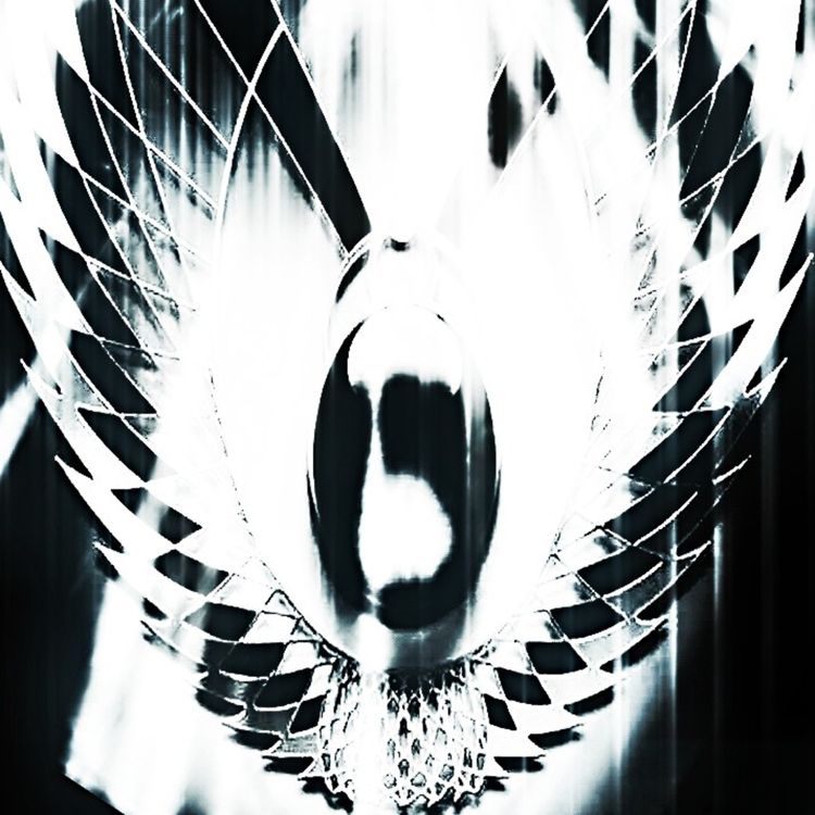 cover art for Chapter 4 From the valiant wings of victory.