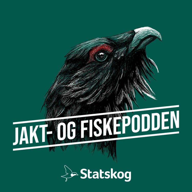 cover art for #249 Fjeldseths tips til slukfiske etter sjøørret