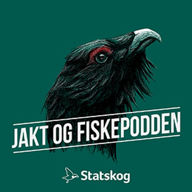 cover art for #22 Skogsfugljakt