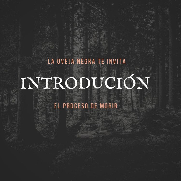 cover art for INTRODUCCION
