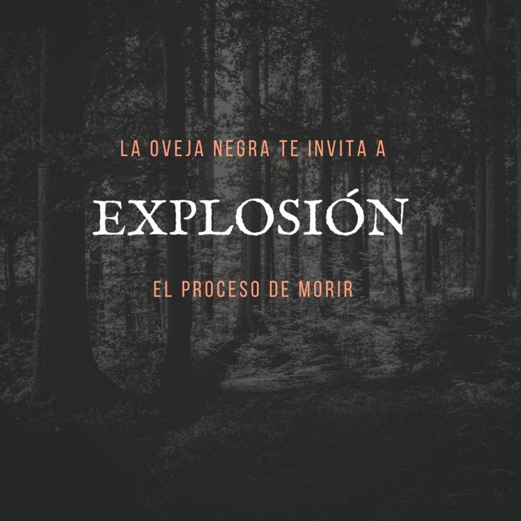 cover art for EXPLOSION Y COLAPSO