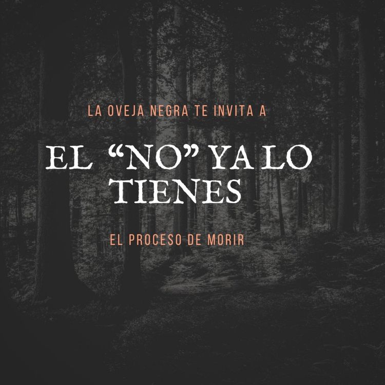 cover art for EL NO YA LO TIENES