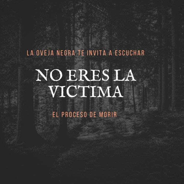 cover art for NO ERES LA VICTIMA 