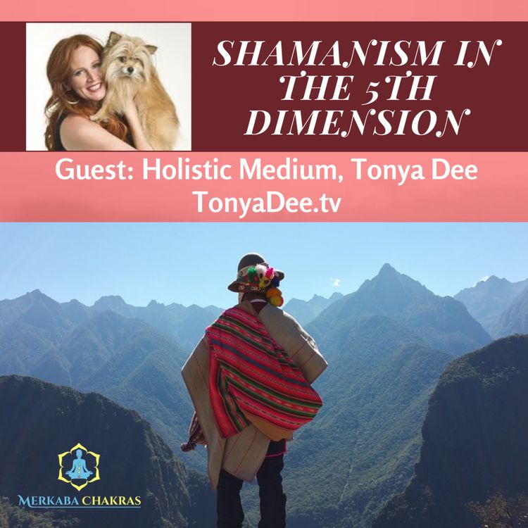 cover art for Shamanism in the 5th Dimension with Tonya Dee