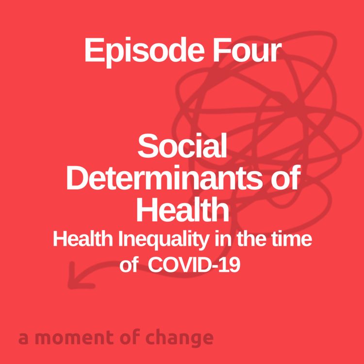 cover art for Social Determinants of Health: Health inequality in the time of COVID-19