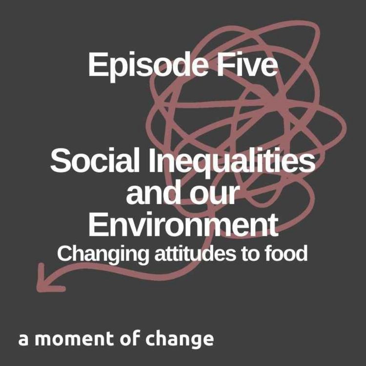 cover art for Social Inequalities and our Environment: Changing Attitudes to Food