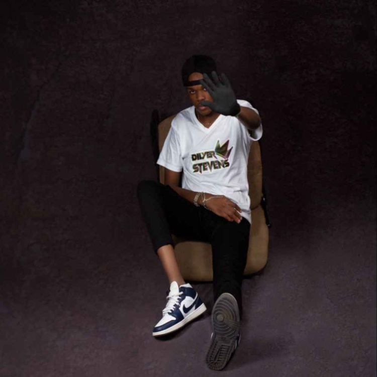 cover art for Dilyer Stevens