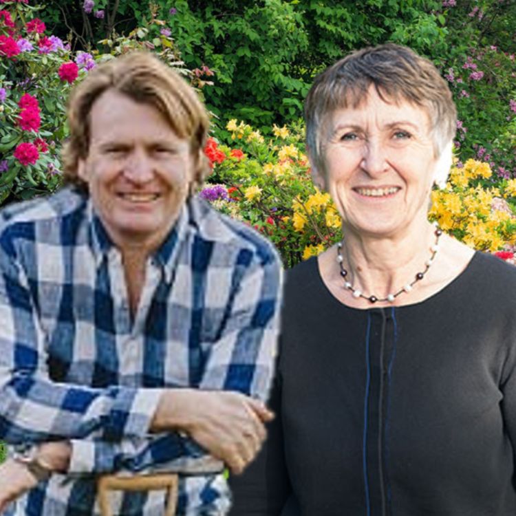 cover art for David Domoney & Professor Harriet Gross