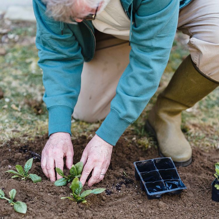 cover art for Mark Pattison