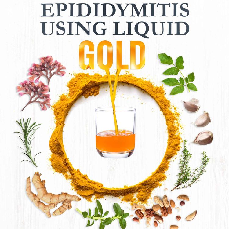 cover art for Sazone Crusade