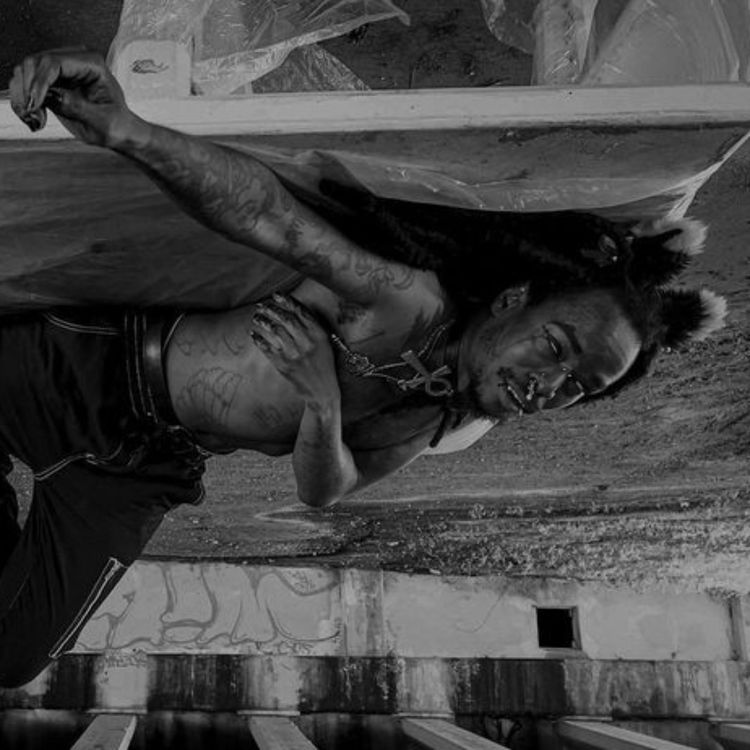 cover art for Hansom Devol