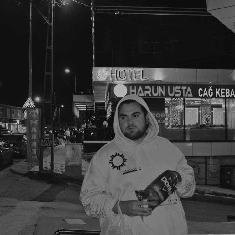 cover art for DYLN NOT DVPO