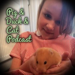 cover art for Pig & Duck & Cat Podcast