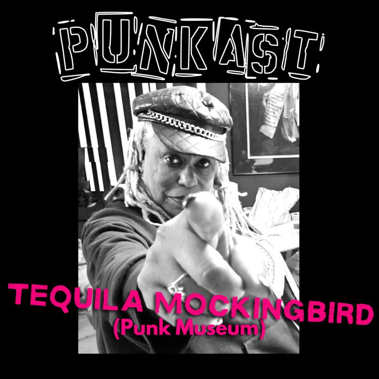 cover art for Tequila Mockingbird (Punk Museum)