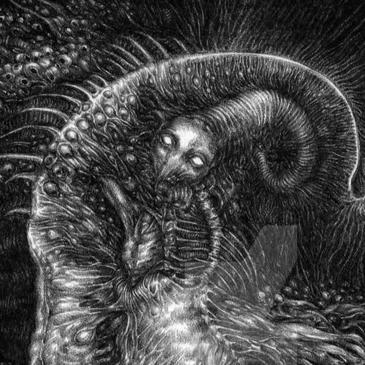cover art for Evolution