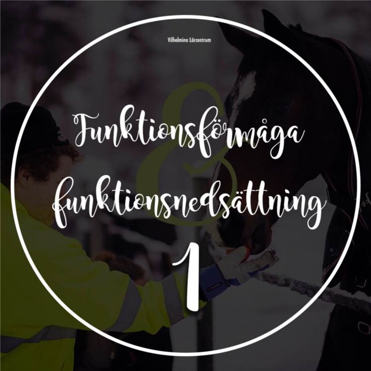 cover art for Välkommen till funktionsförmåga & funktionsnedsättning 1