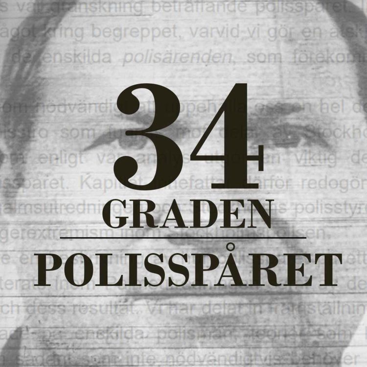 cover art for Polisspåret