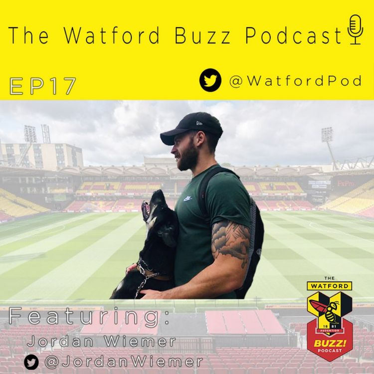 cover art for EP17 - Different Formation ... Same problems