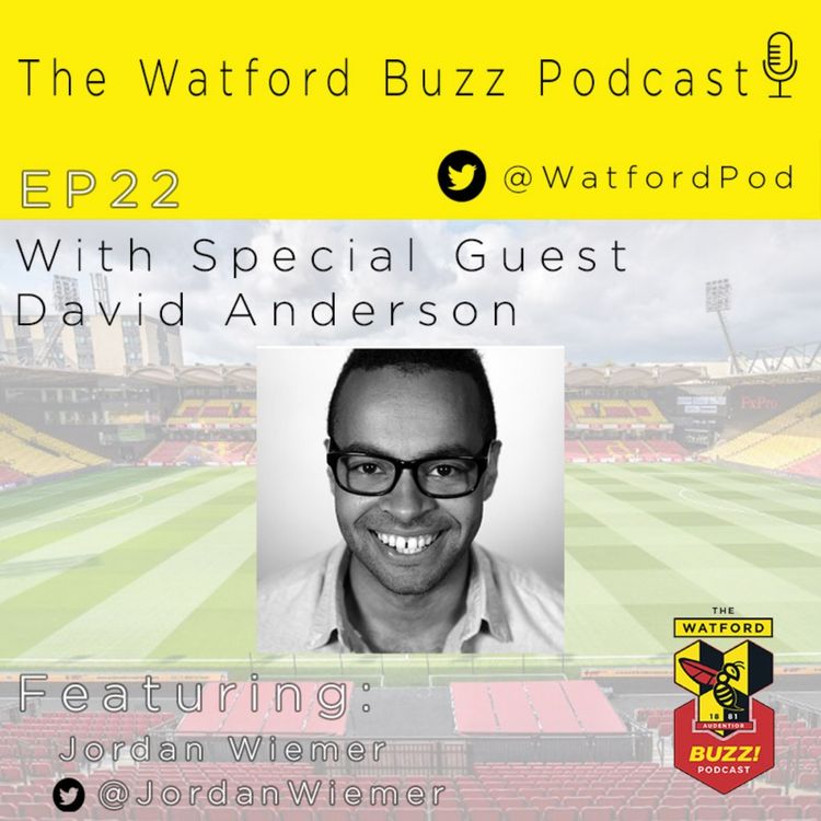 cover art for EP22 Bees vs Hornets