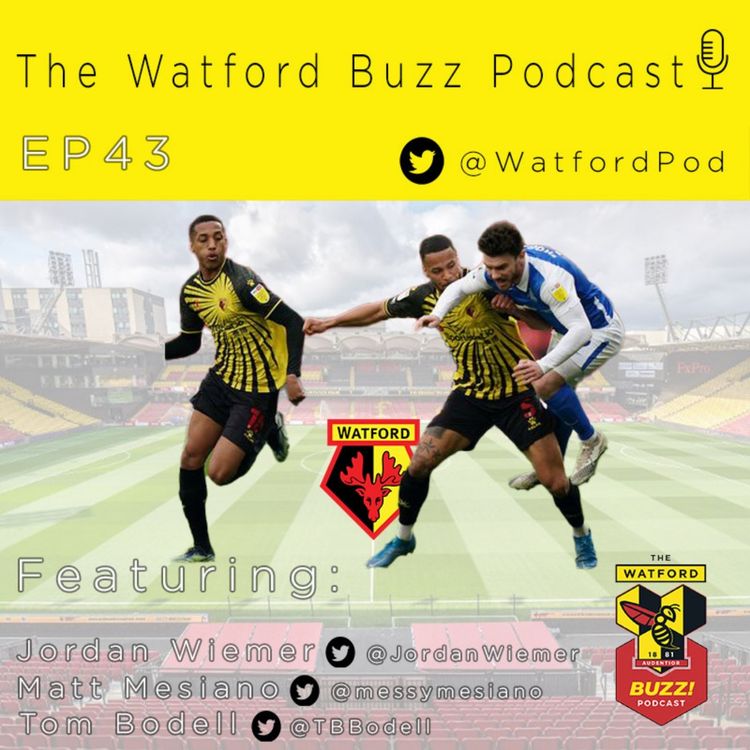 cover art for EP43 - Adam Masina's Netflix