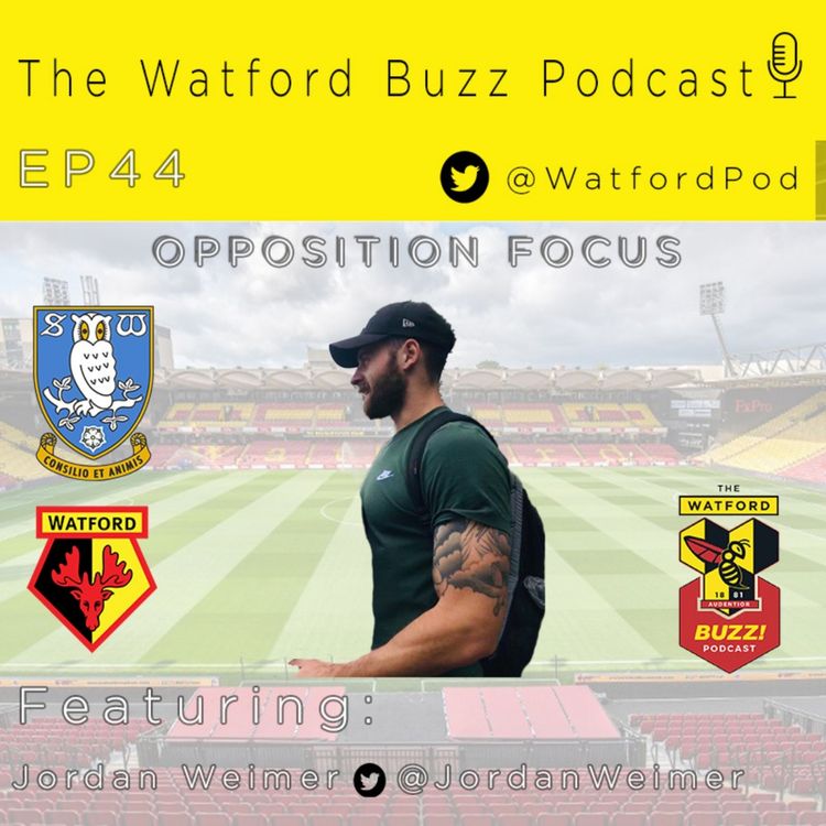 cover art for EP44 - Opposition Focus - Sheffield Wednesday