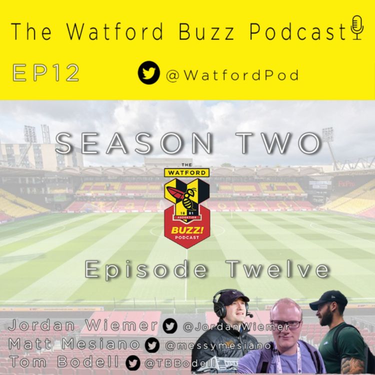 cover art for Post Blues and Pre Bees