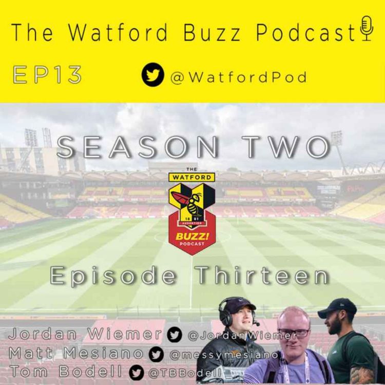 cover art for We got the Brentford Blues