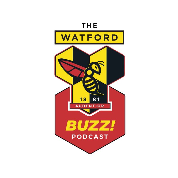 cover art for Watford transfer rumours: Asprilla, Hoedt, Tikvic