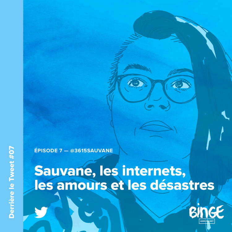 cover art for Sauvane, les internets, les amours et les désastres