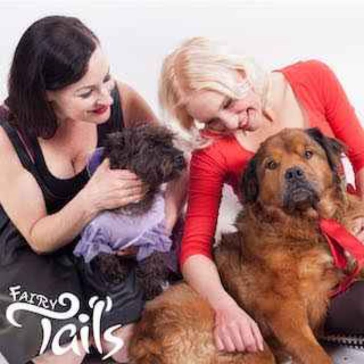 cover art for Circus Abuse