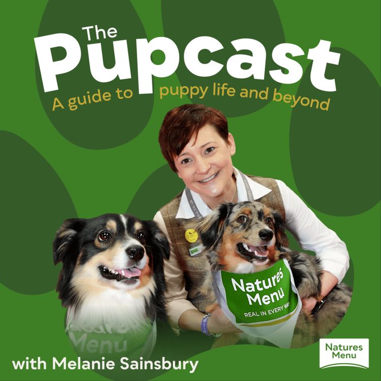 cover art for #11 - Special Episode with Matt Tebbutt: What’s really in your pet’s food?