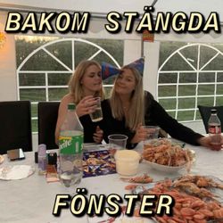 cover art for Bakom stängda fönster