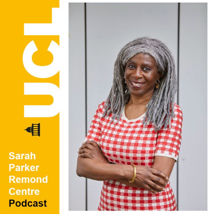 cover art for In conversation with Baroness Lola Young of Hornsey