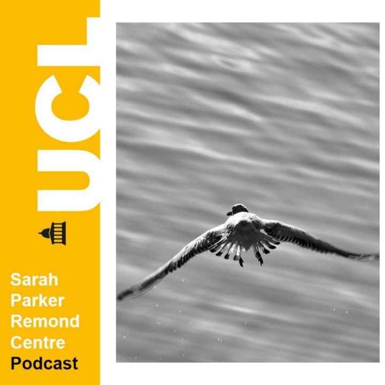 cover art for In Conversation: Movement, bodies and the question of race-making