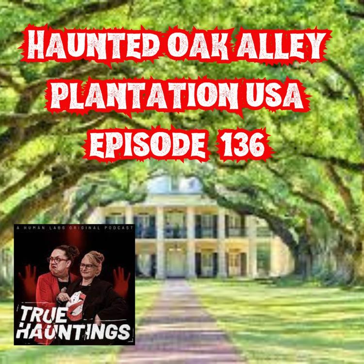 cover art for Case 136: Haunted Oak Alley Plantation USA 