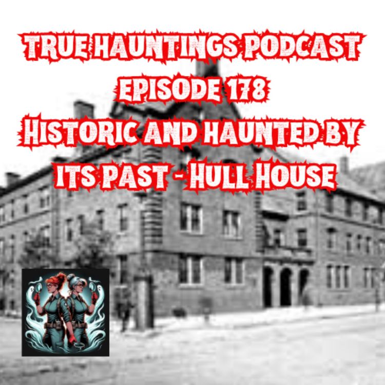 cover art for Case 178: Hull House Chicago USA