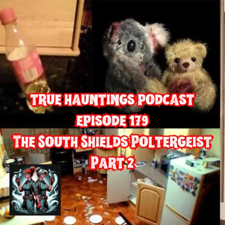 cover art for Case 180: South Shields Poltregeist - Part 2