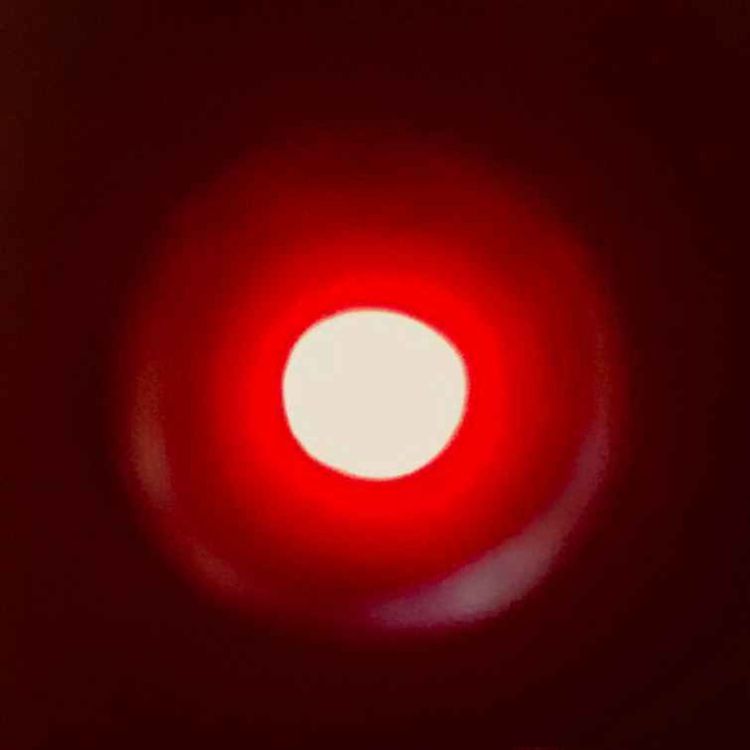 cover art for Code Red for Humanity
