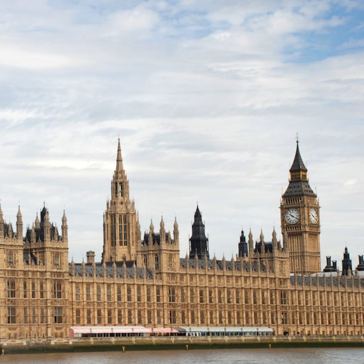 cover art for Nature Under Attack