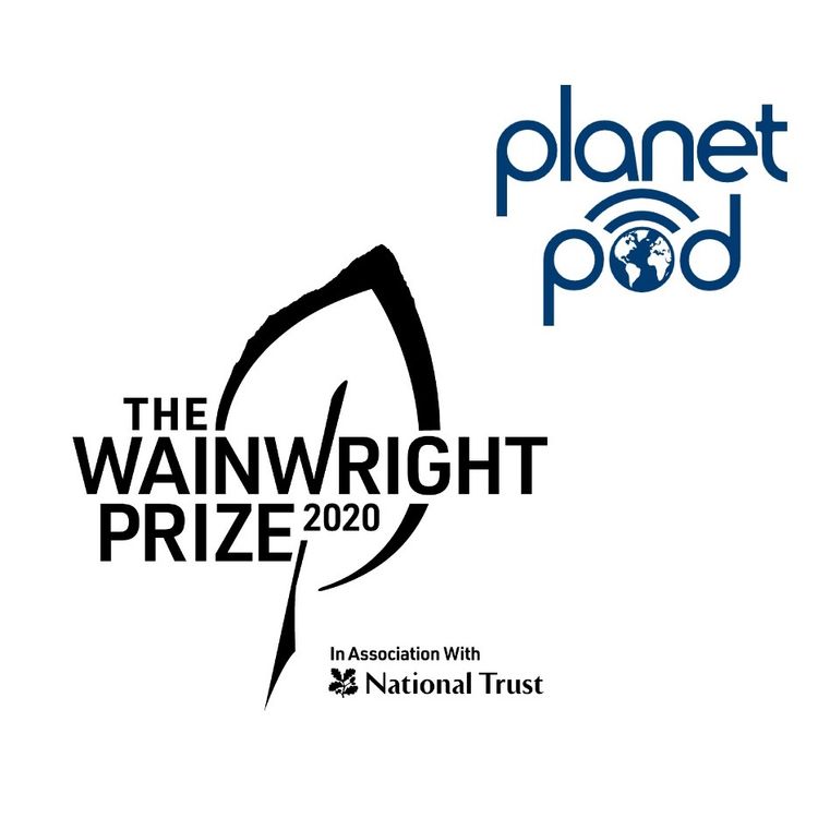 cover art for "Wanderland" by Jini Reddy - the story behind the book