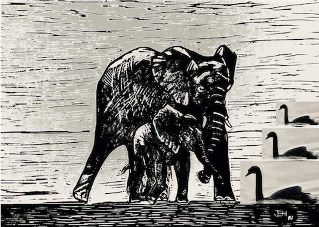 cover art for Black Elephants and Black Swans