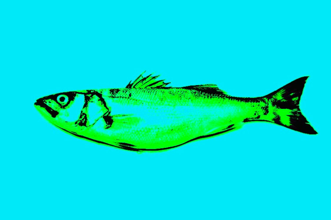 cover art for Swimming Against the Tide?