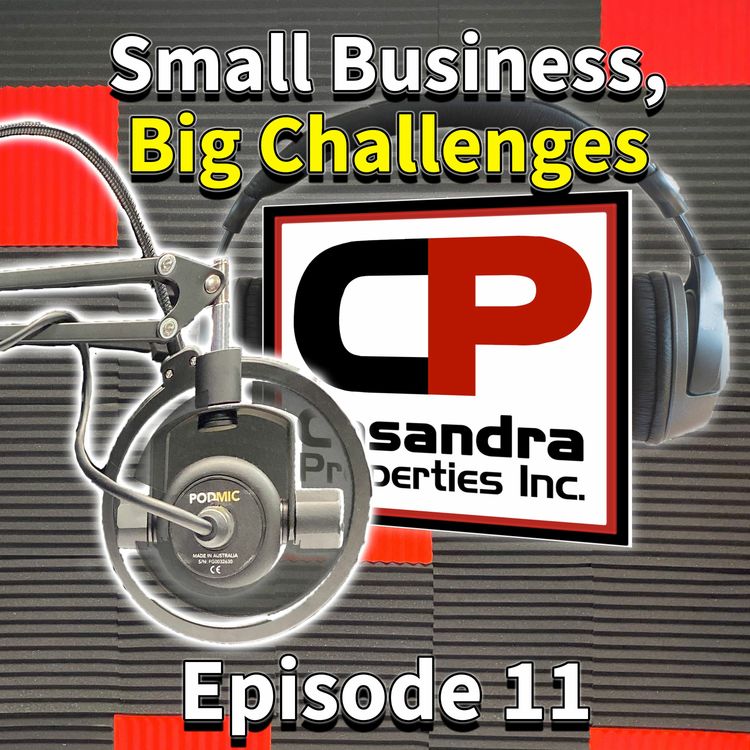 cover art for Small Business, Big Challenges (Ep.11) What Small Businesses Are Currently Going Through