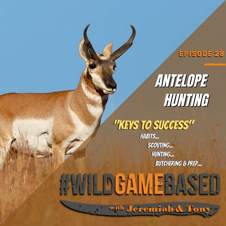 cover art for Antelope Hunting "Keys To Success- Episode 28 - September 23, 2020